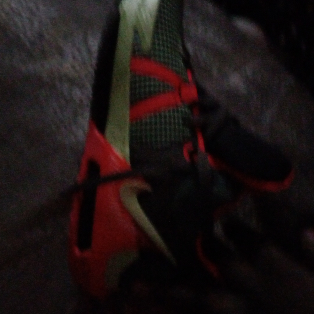 Shoe's